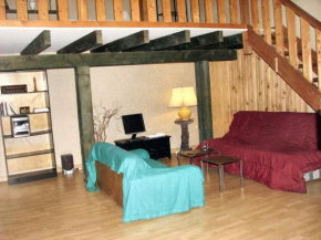 Studio confortable près de Beaumont-du-Périgord, 60 m², cheminée